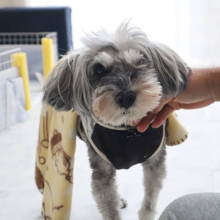 3a1c6005 312a 4892 b949 4031e74656e6 1761449430710