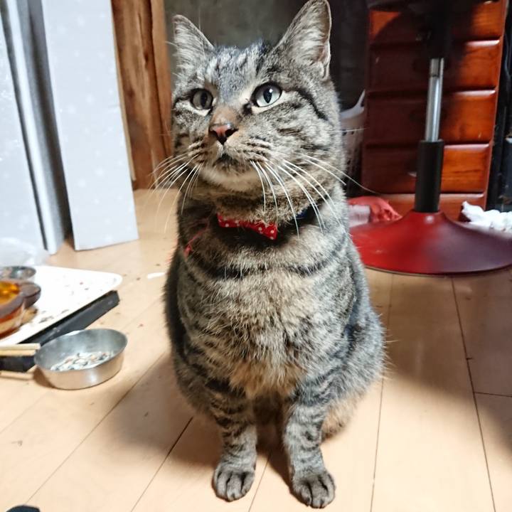 3a1c634c 4162 498f b5bb 1b48313a748c 1640993654301