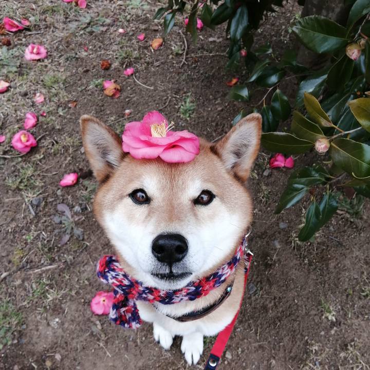 3a1c669b 12f8 448b 89af ca34ed2ddc0c 1645252523838