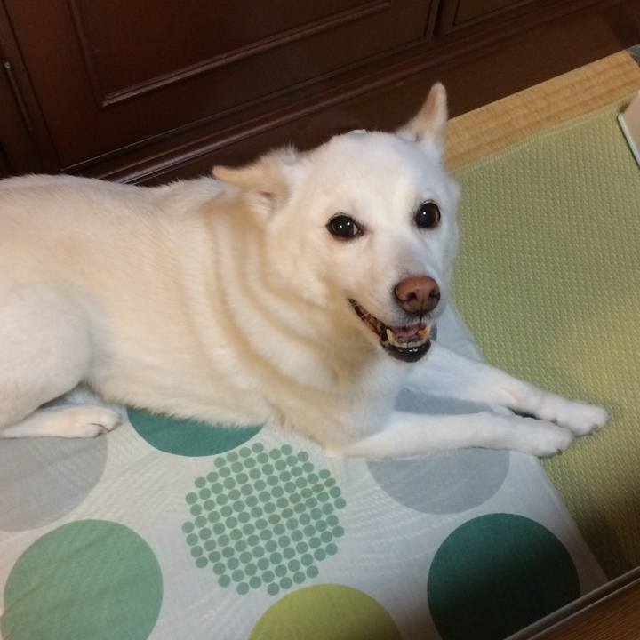 3a1c7b16 da09 471b b9a1 fa994442f690 1592307570719