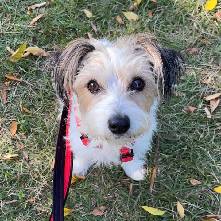 3a1c8dbb b992 40d5 844e 97cde316ec1c 1762522249033