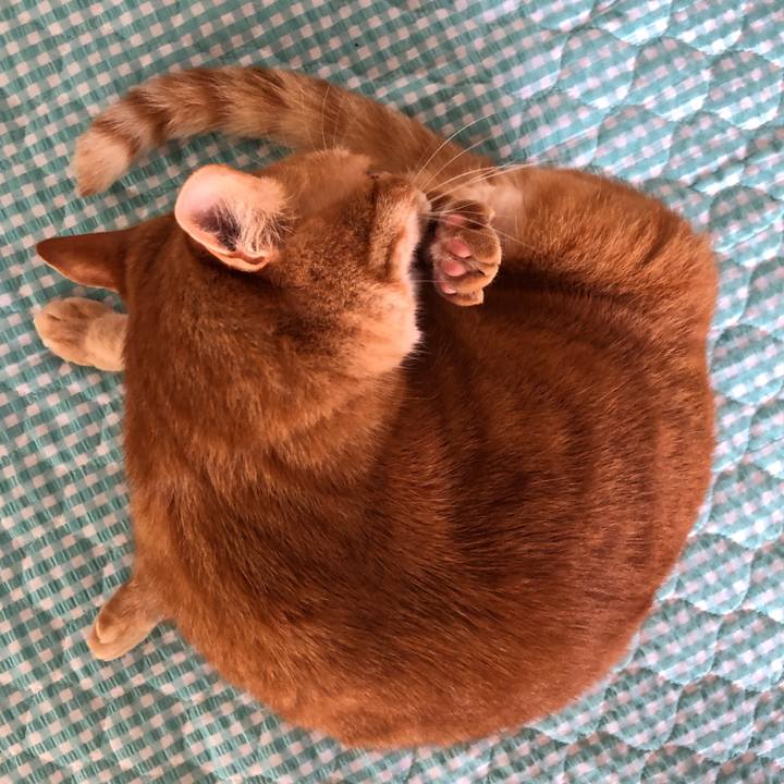 3a1c96b1 bec9 43ac 9b49 9392b75973a2 1657577508785