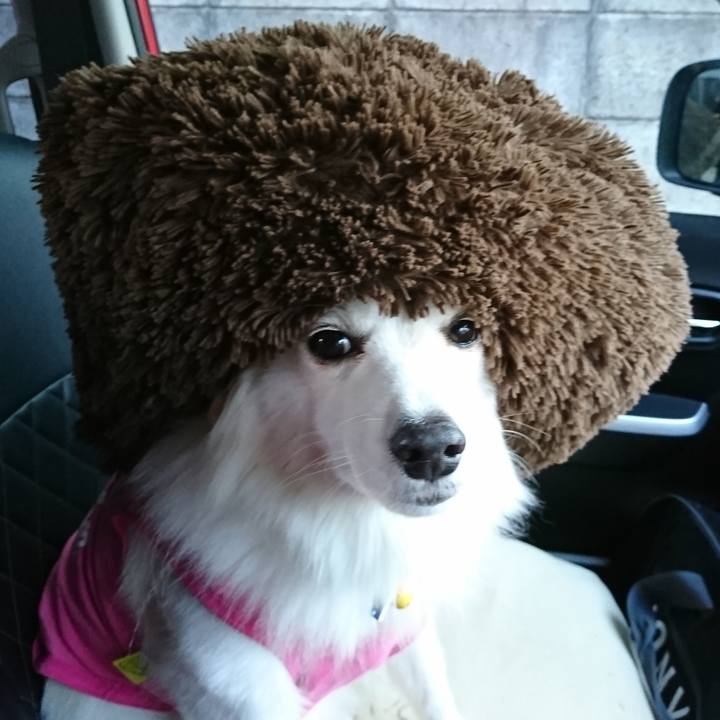 3a1c9a4c 62ec 4d0d 8e49 516b8731f56b 1545889023941