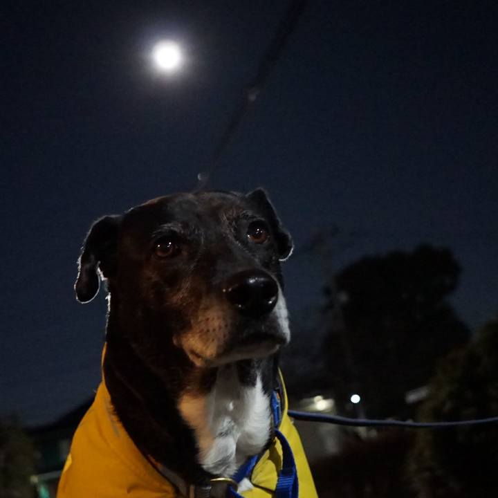 3a1cb0cc 1fef 4a4d 94d2 695bccd796df 1767449513378