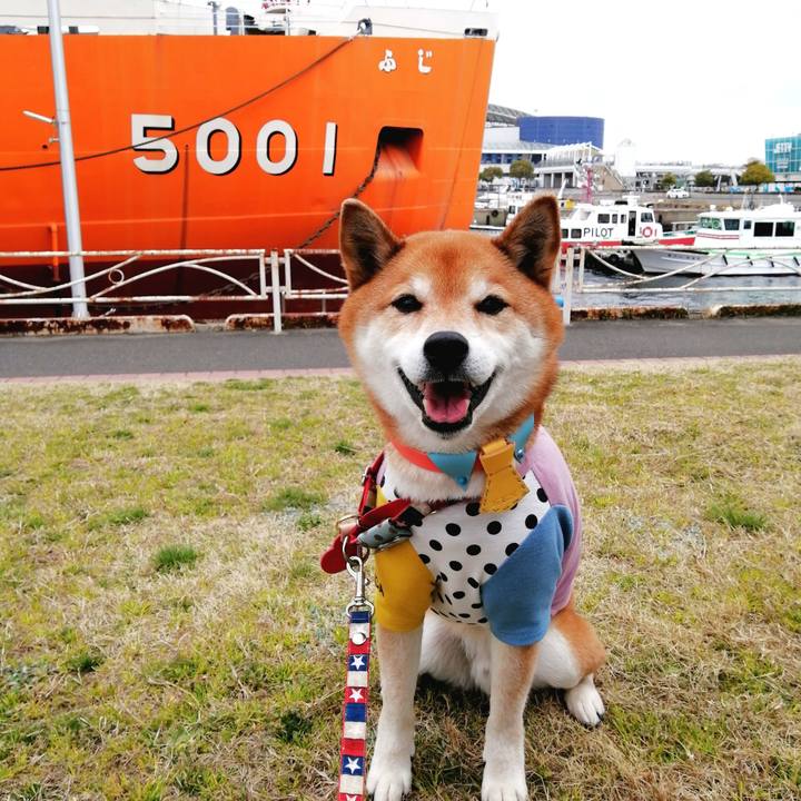 3a1cb6d4 e989 4fd9 ab4a 6a39cdcf0a21 1678860015439