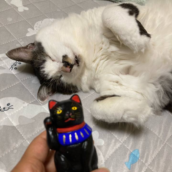 3a1cd553 3515 47c6 9fa5 8b569e8377a8 1719748759194