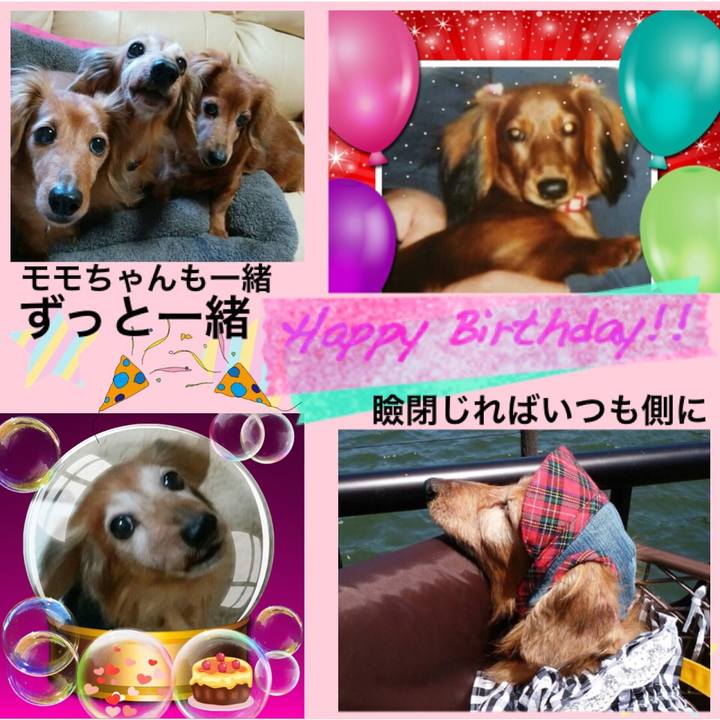 3a1cdc13 91ae 49d9 8272 2af965a2edeb 1527157311043