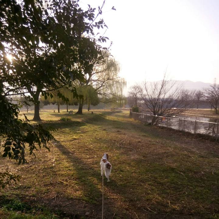 3a1ceb26 eee9 4476 9645 03d30c3ade2b 1520942905202