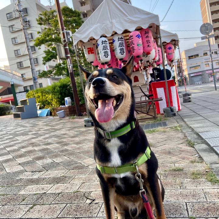 3a1cee8f 6bc0 40f1 aee6 d21465041cbe 1597966101690