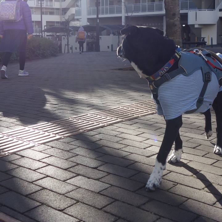 3a1cf3c0 39c0 4674 ab9e c1ec76bc46c2 1708997722833