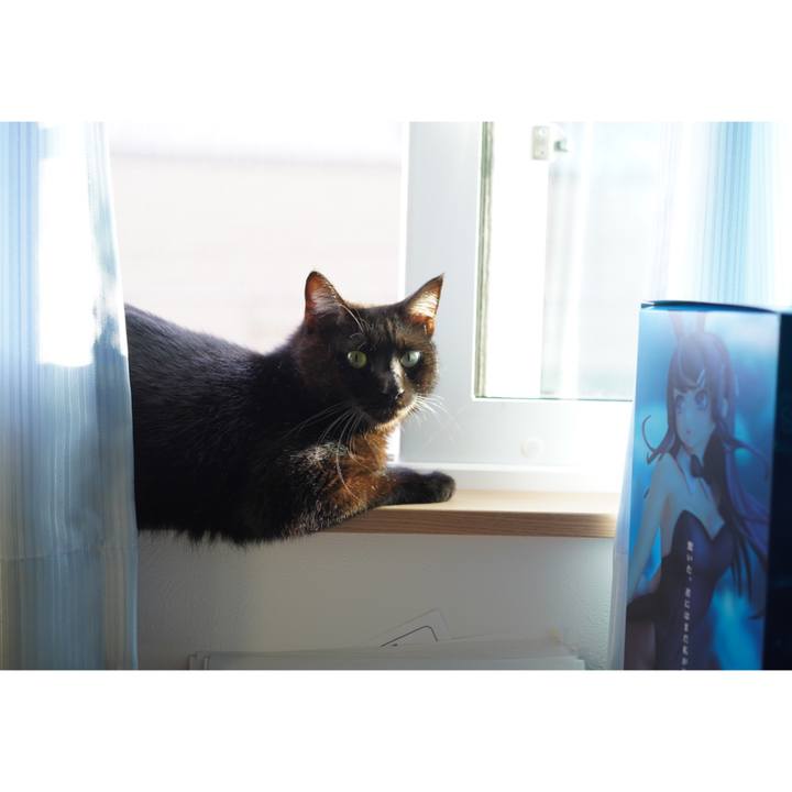 3a1d2cc5 d1ed 4ccd b53c 4355a90b30f7 1567723855642