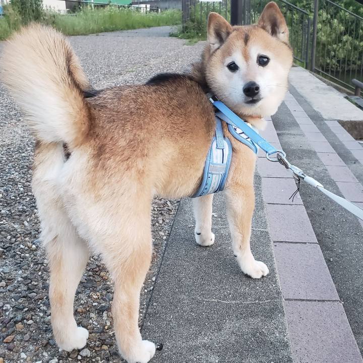 3a1d3d07 6948 4415 9b58 5d3392ab3594 1654212820425