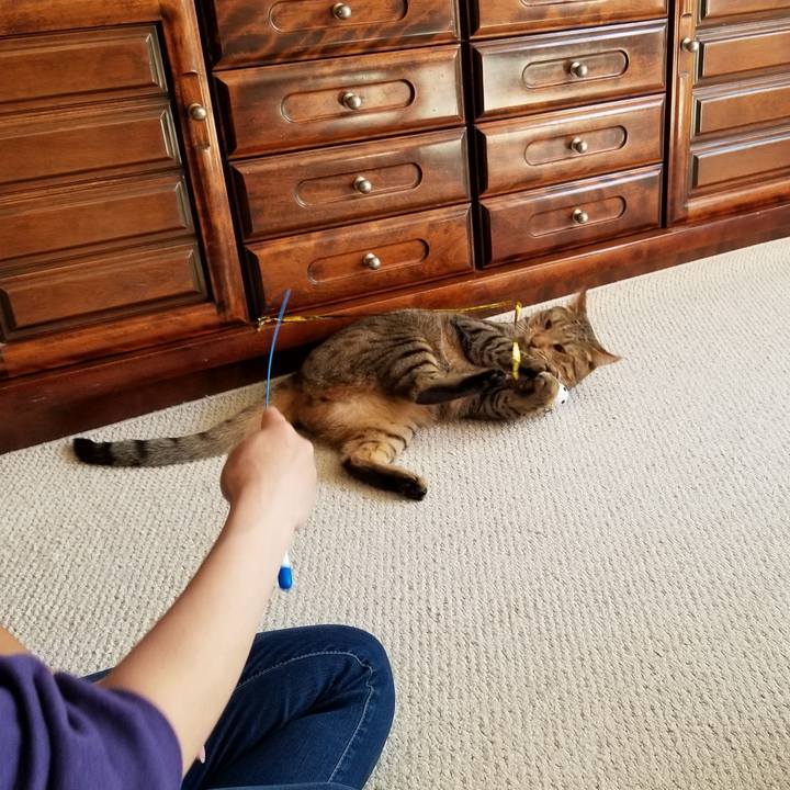 3a1d618b 205a 41db b69c 17cbf0bce903 1649080317874