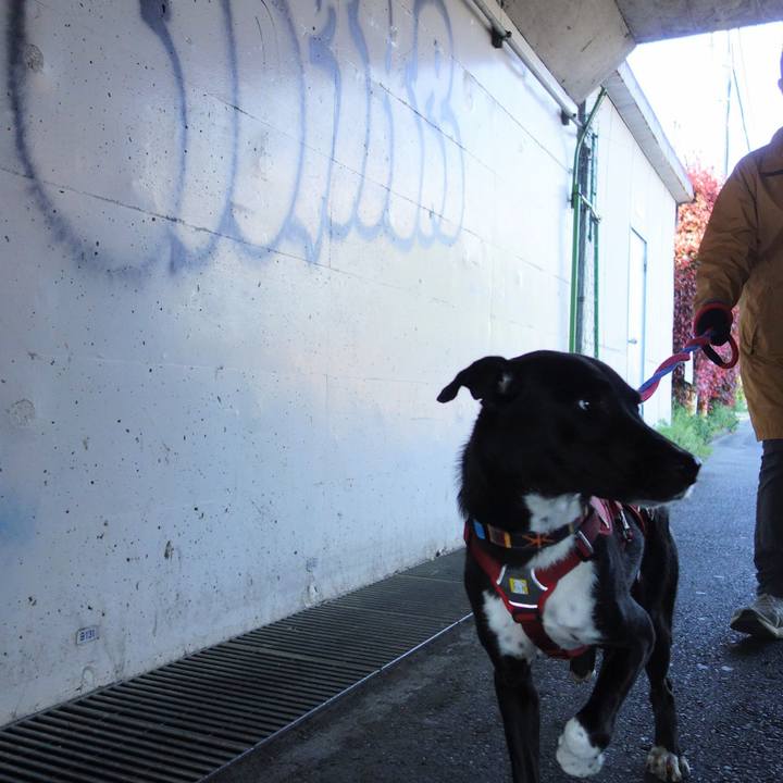 3a1da9c7 b6a9 4add 848e a843416ff829 1586567770112