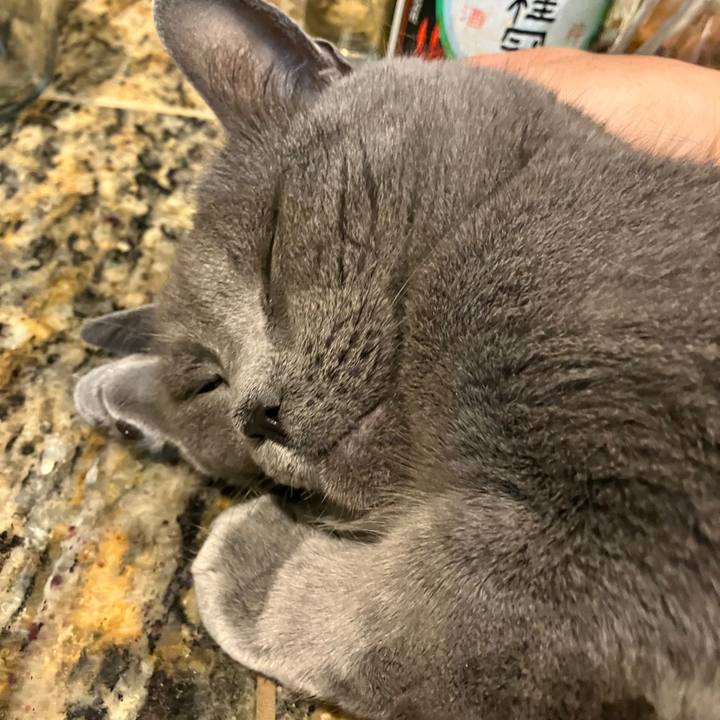 3a1db6a6 93d2 4e2e bd10 3a097785c514 1694915330539