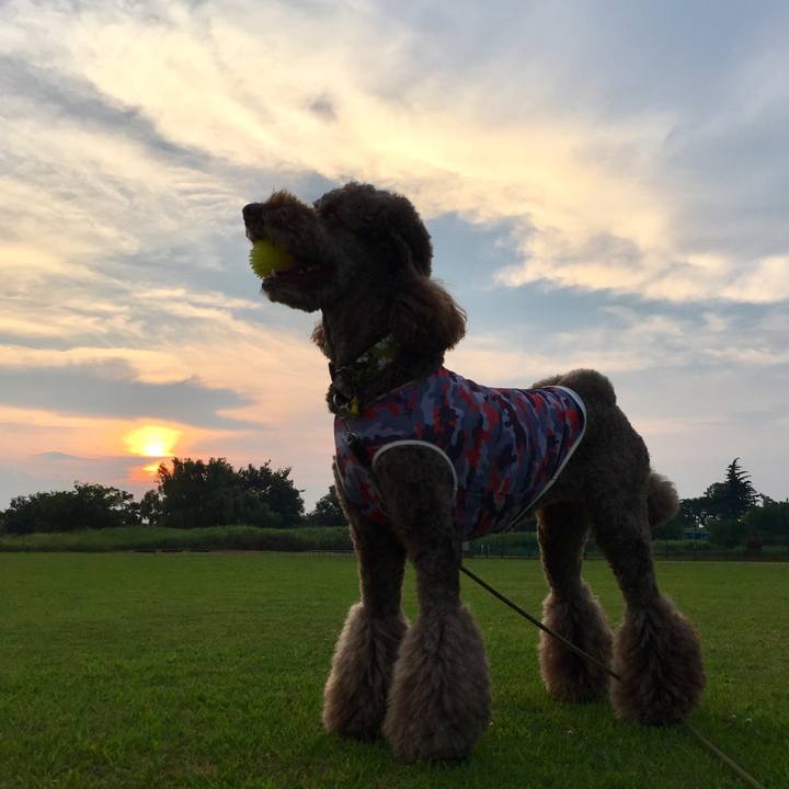 3a1e0b2c d6a3 4d01 b220 fd19ee363e07 1531752013364