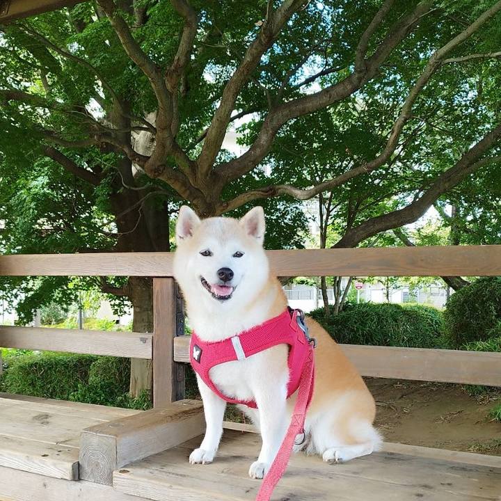 3a1e57c9 2460 4011 a5aa a4053ea75758 1754188811253