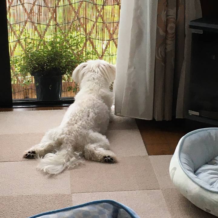 3a1e5c18 4152 4680 a44a 028af30fbc63 1593559913184