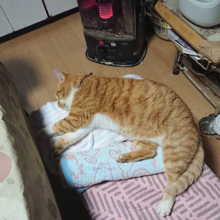 3a1ec709 dd1a 4137 b941 1837ee546c70 1607546851356