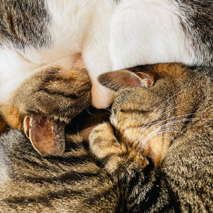 3a1ece34 adeb 47da a9bd ea4600f33ee5 1603931355792