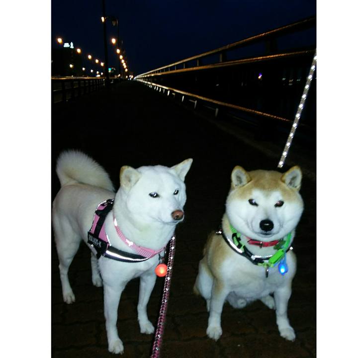 3a1ee70e 471b 4e7f b3ca 2a12c7eeddf3 1515143008578