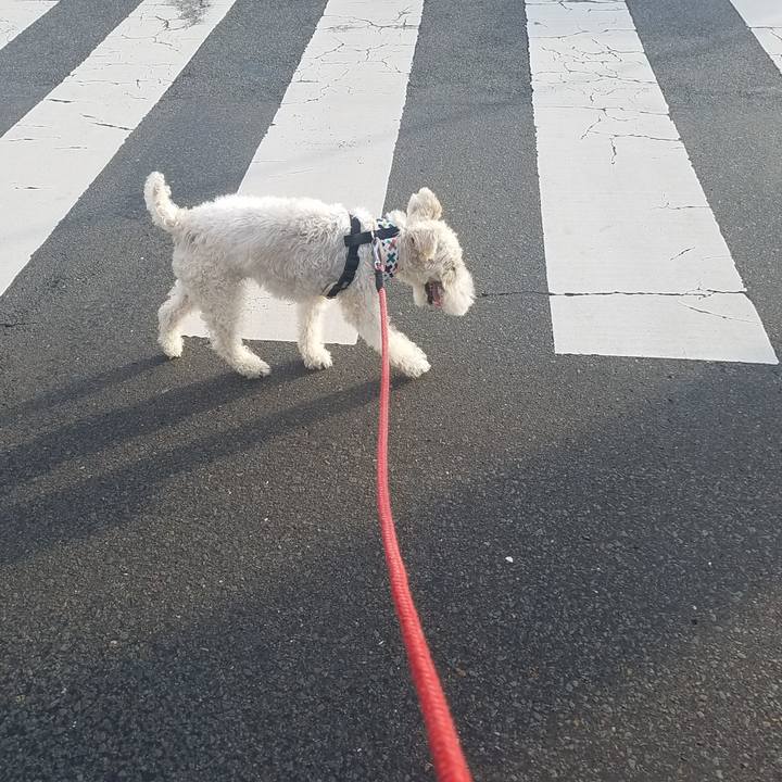 3a1ef5c0 181d 47a5 8b58 3b84efc6b1cd 1600524352789