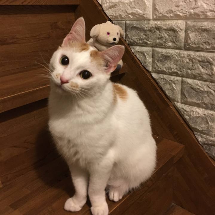 3a1efaa7 14f5 4b9a bfa7 77335fa9f249 1558886239920