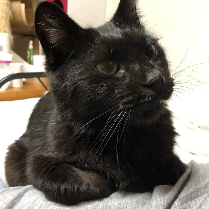 3a1f10d3 d929 4660 9a84 9ba6a794eee3 1598026871378