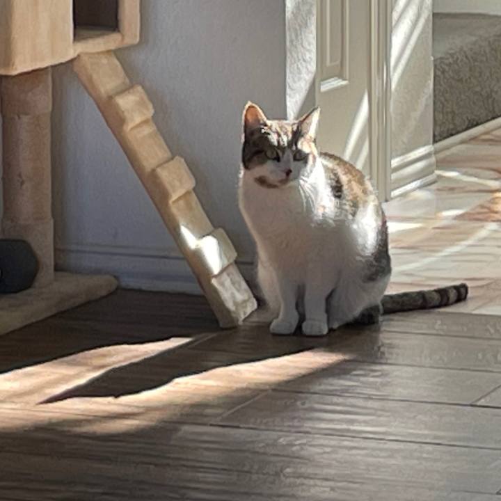 3a1f3aea 2721 4821 a0a3 cda68122cbfd 1769272092002