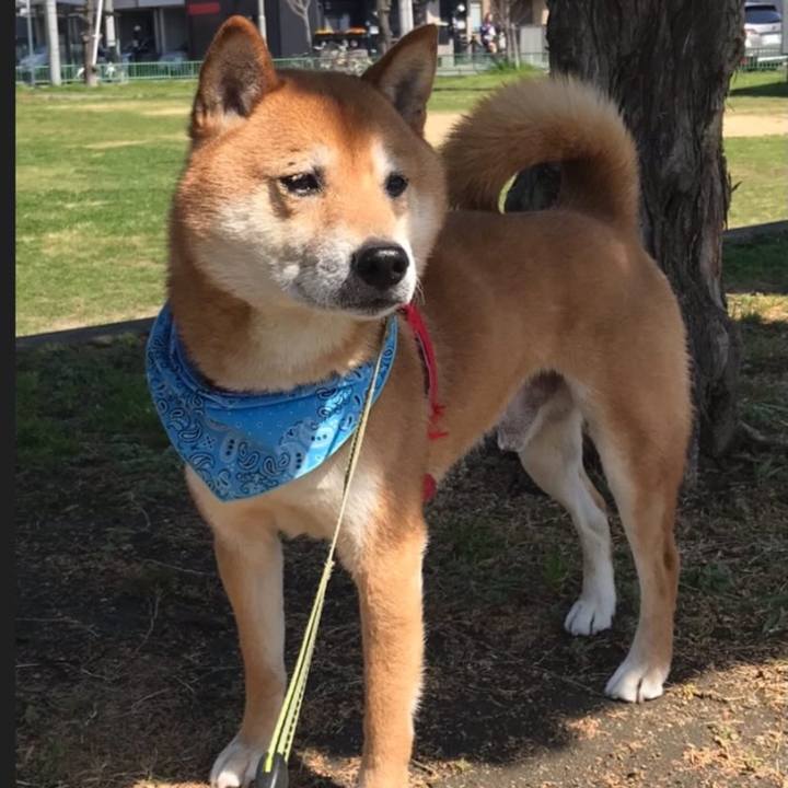 3a1f410e 1515 4f46 9e3e 88b8608f9249 1771545079597