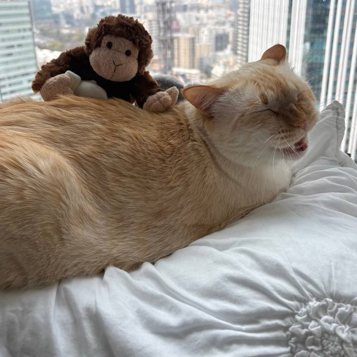 3a1f44da 4122 4e1b 8624 6a81bd76acc1 1773890675664