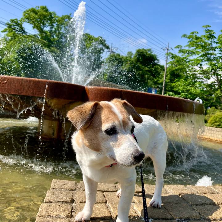 3a1f6495 a594 44a5 a7f8 905a8b1decd1 1715863818497