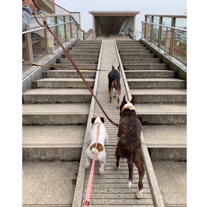 3a1f9075 3a8e 492a 9307 906def8f981a 1586690772396