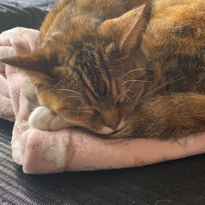 3a1fcb5f 5180 4635 82dd c96728a89eed 1588583829519