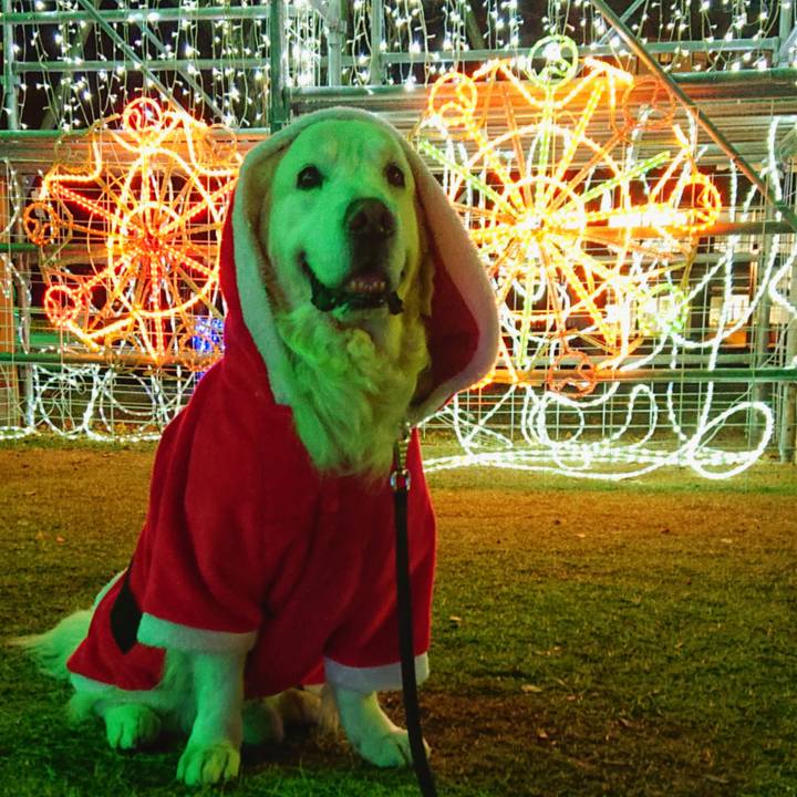 3a201e91 6f02 4a94 9a7a 087cdf436e32 1575646374754