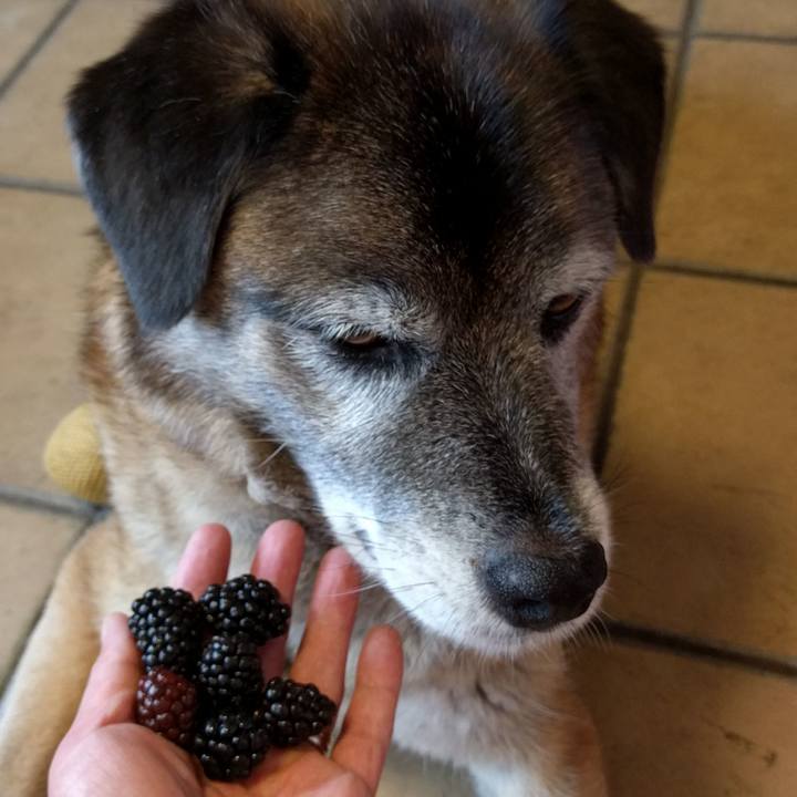 3a204fcb 7c4c 4475 a20d 6a4526203fb9 1528334058254