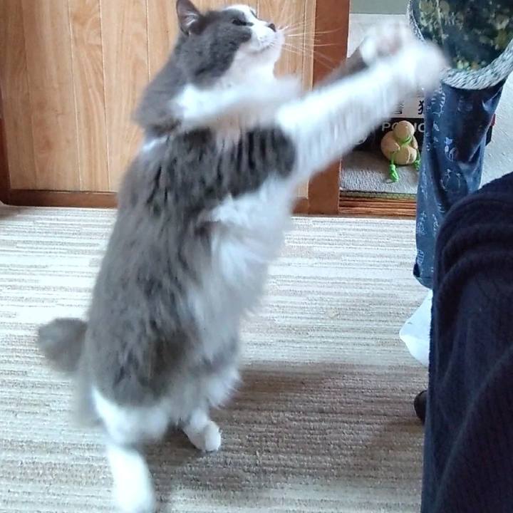 3a2097bf 58fe 4462 a12e 918899e5cb2f 1714978064507