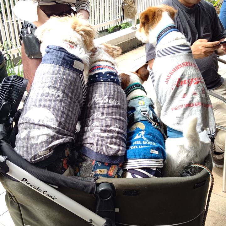 3a212966 de9f 4ec3 bd45 1fca71ecb596 1716465140929