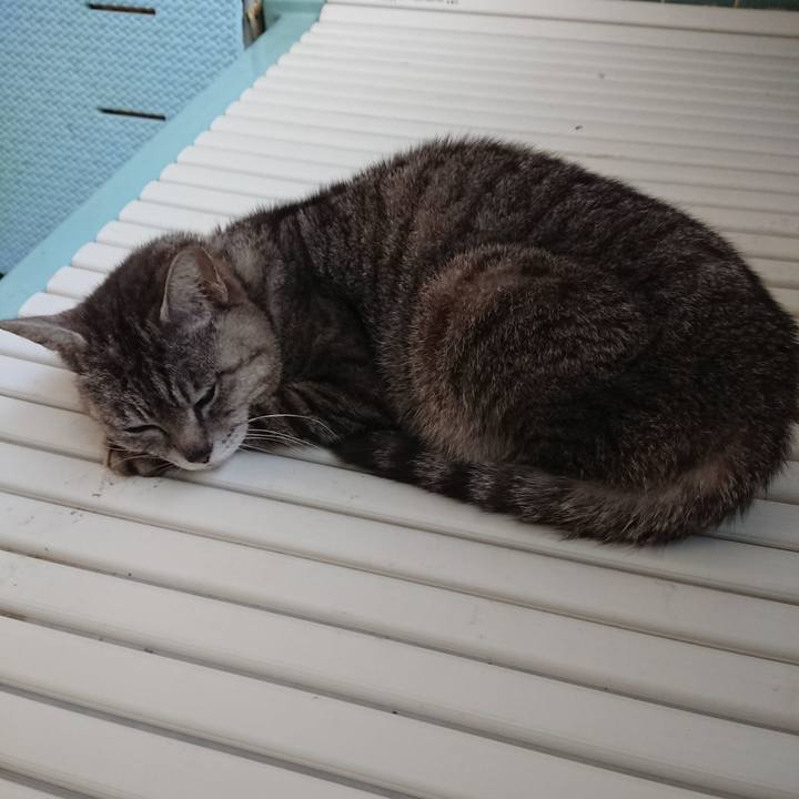 3a213444 f497 46f1 a290 c9306355fa4a 1560721707833