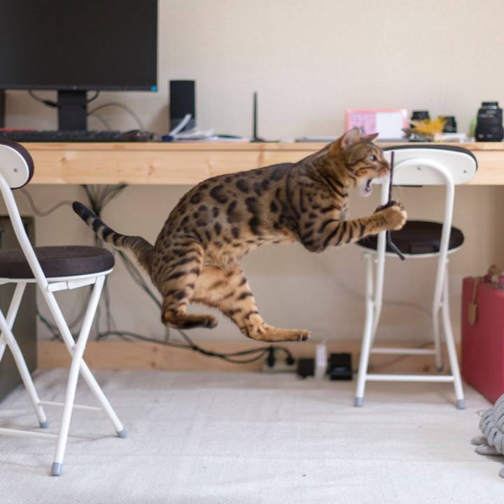 3a213649 4aba 424b a01a b3640a961cd7 1521387117841