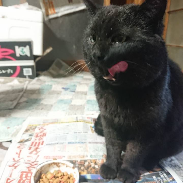 3a218514 b7e0 491f 9602 9bc2dbe4d7ce 1649886474784