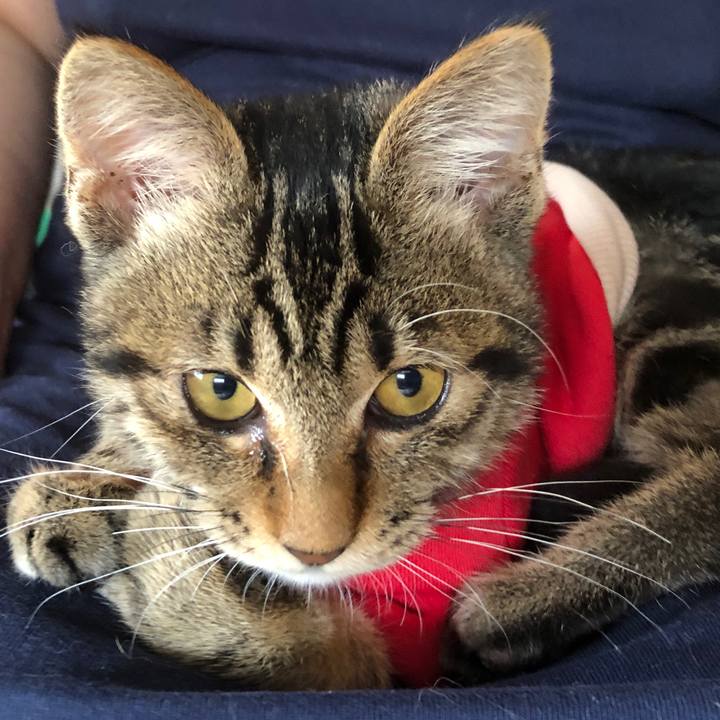 3a219d20 357e 4a45 b539 41bc2983f671 1730000518535