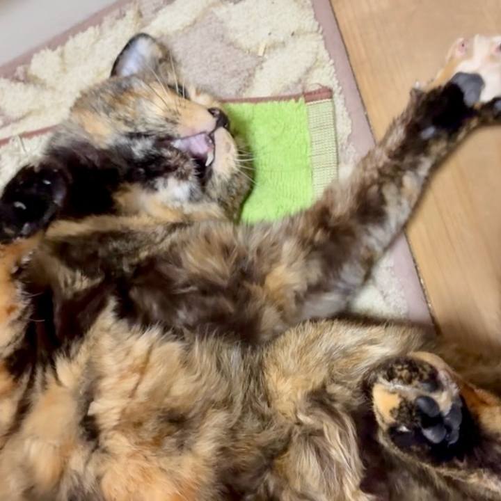 3a21ac10 13e1 4fd5 984d af771b4a6e0d 1768680875133