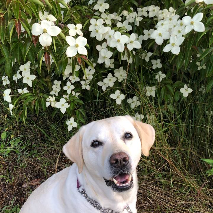 3a21b896 0abe 4112 a391 96f9245bb6c6 1655069511880