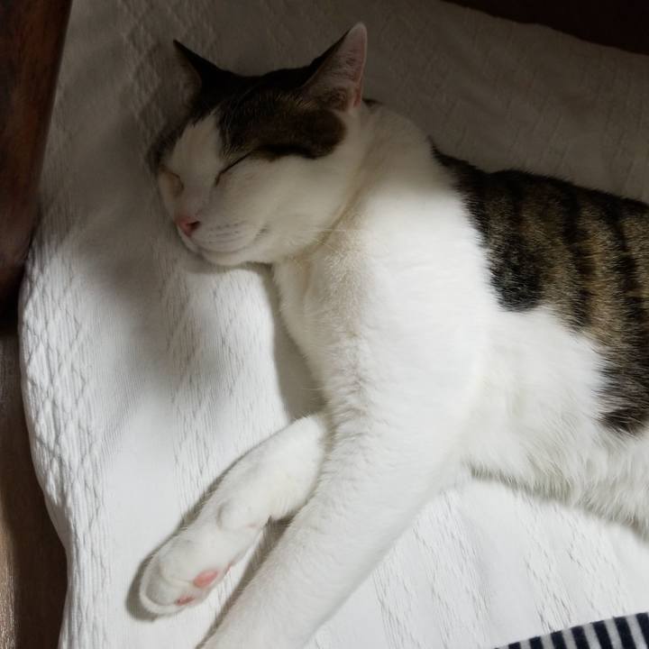 3a220dd9 12a9 412d 9df1 c86675d1b4bc 1583062107264