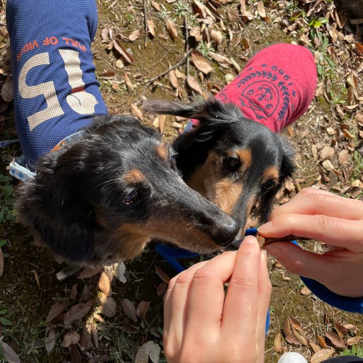 3a225c15 f401 4ad1 a234 1f2bafcea376 1635940349145