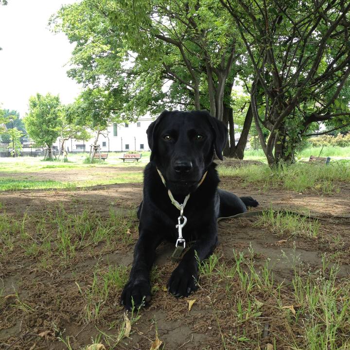 3a229482 58f8 4234 8f0d 5ee5c2aff719 1758984996933