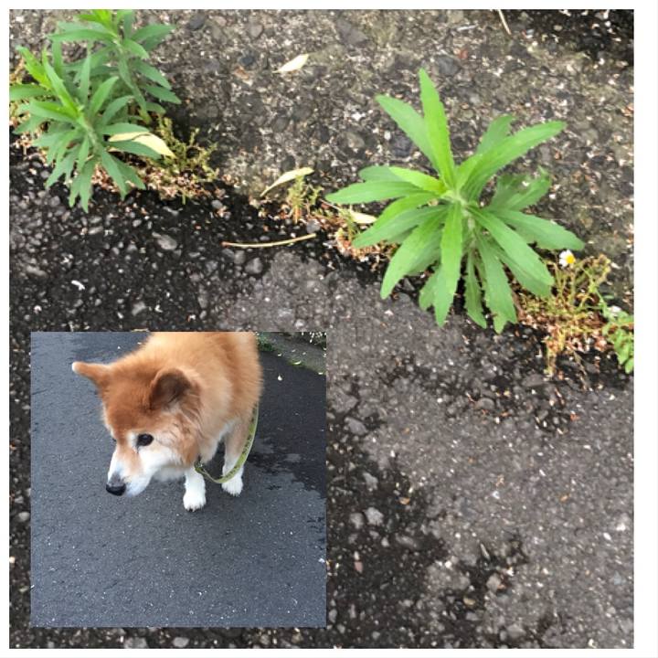 3a22a3b1 1987 4342 ae76 4388c43fee05 1563159347597