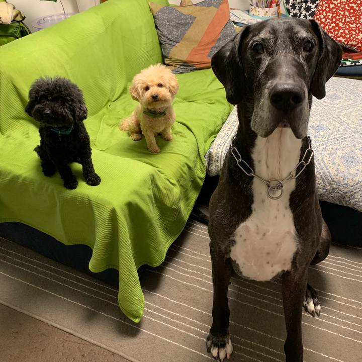 3a22dd5b 5380 4628 90b4 6fc1950b660d 1563229915572