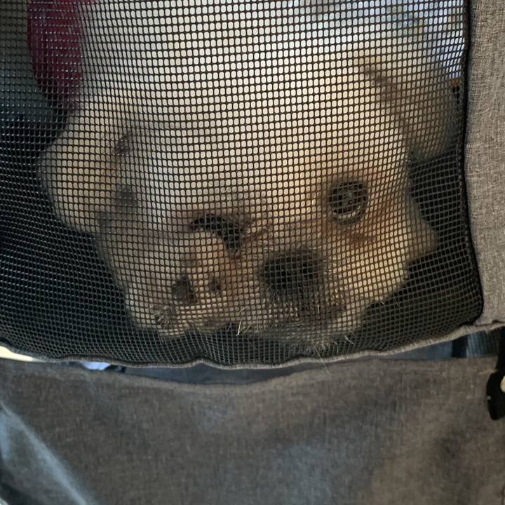 3a22ea74 1ea0 464f 8975 44eb526c071c 1690118738004